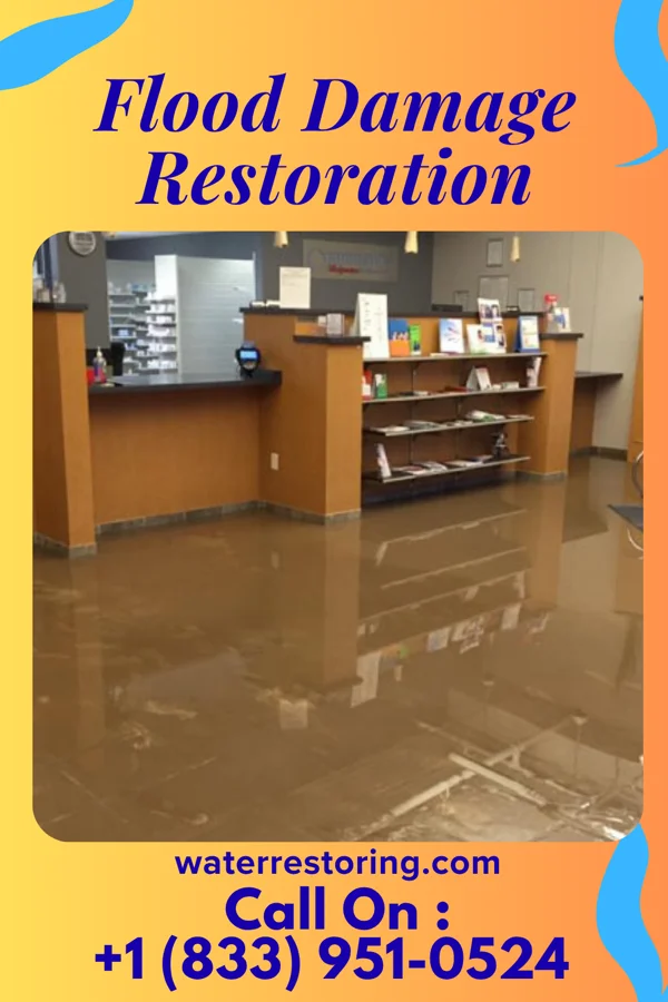 Flood Damage Restoration in Elkport, IA