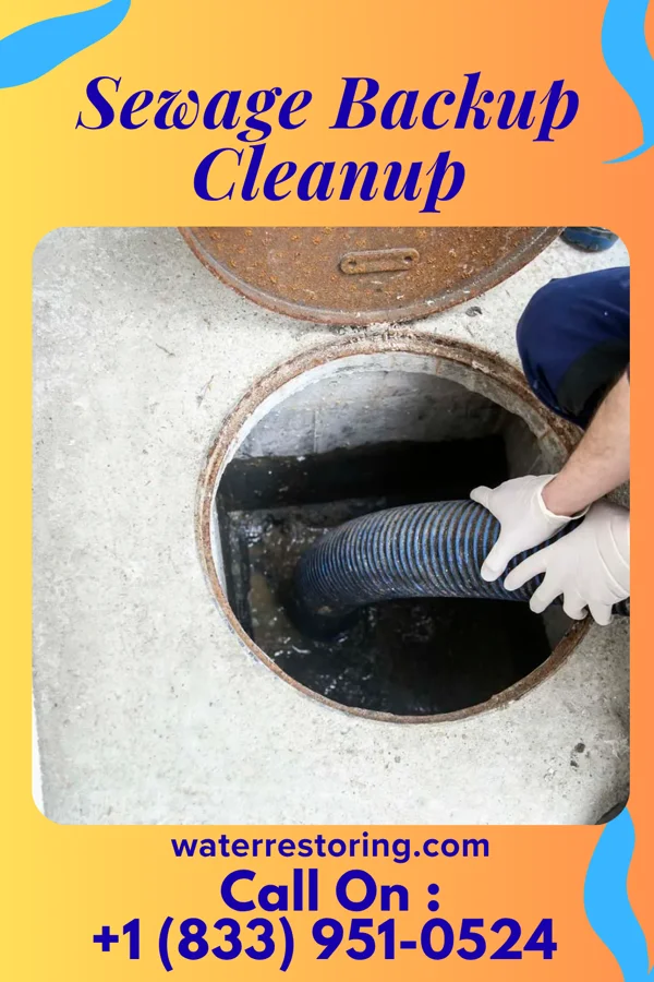 Sewage Backup Cleanup in Elkport, IA