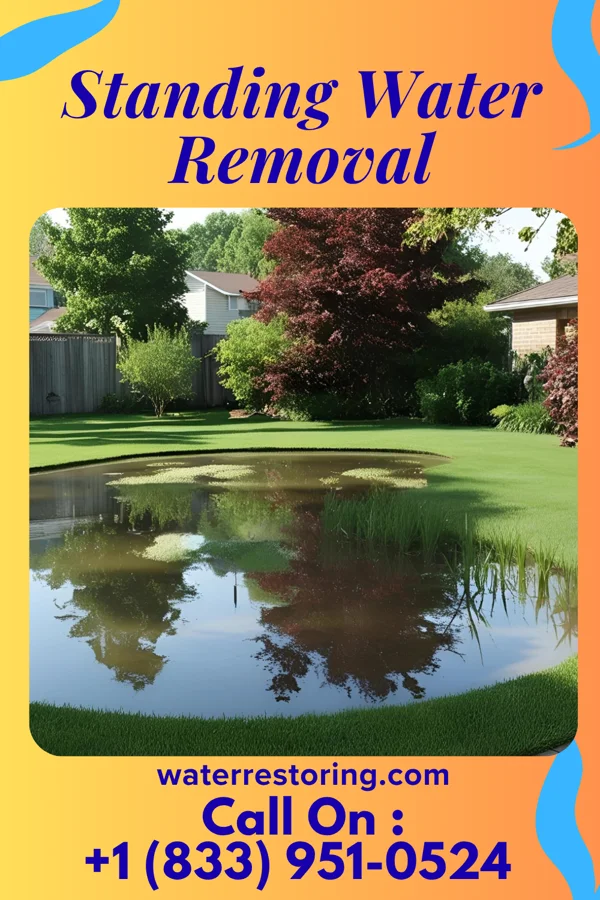 Standing Water Removal in Elkport, IA